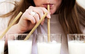 We organized the World Milk Cup to finally find out which was the best for health