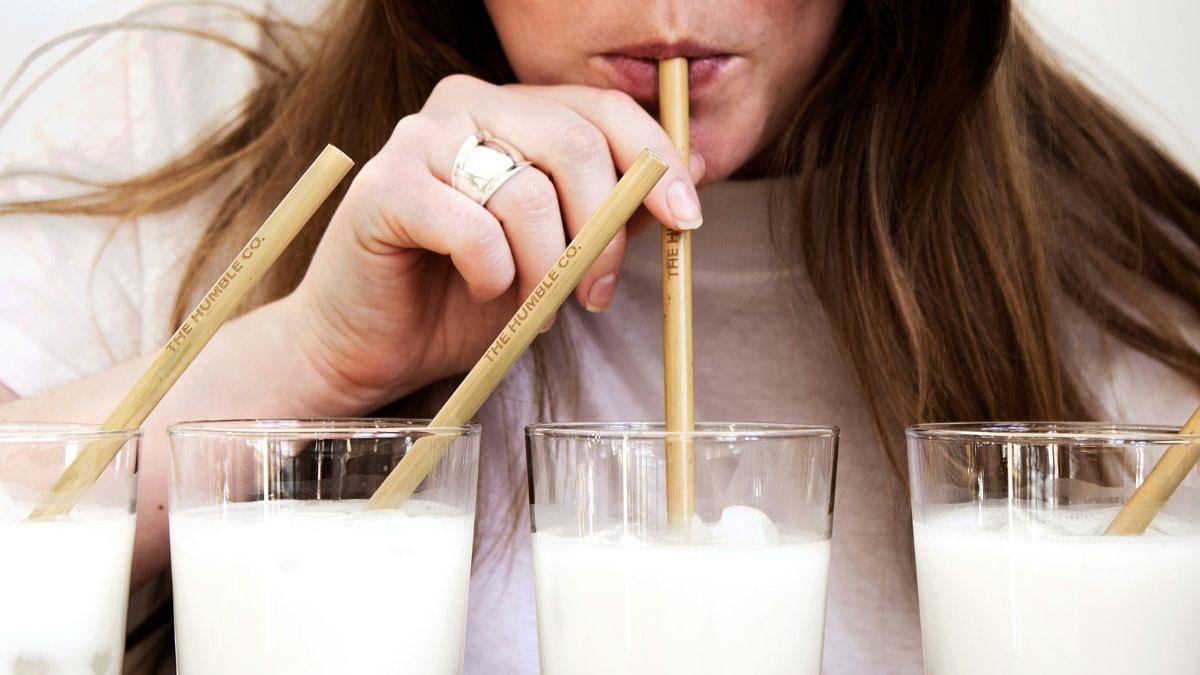 We organized the World Milk Cup to finally find out which was the best for health