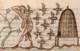 In the Middle Ages, Irish bees had their own laws and a real legal status which protected them