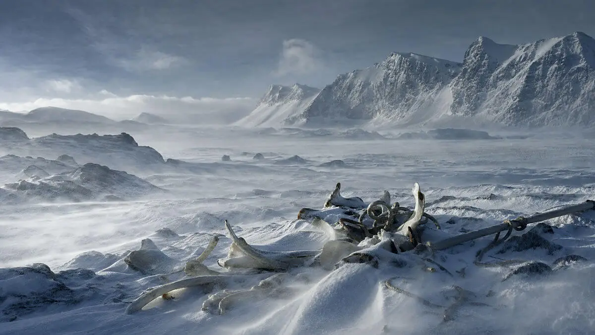 Frozen landscape with bone remains covered by snow and old ropes from an expedition; wide composition with wind in diag