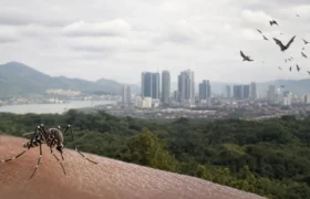 Climate change and increased contact with animals: two factors that increase the risk of future pandemics
