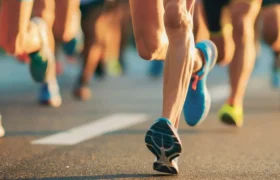Why the human body evolved to run long distances and hunt for persistence