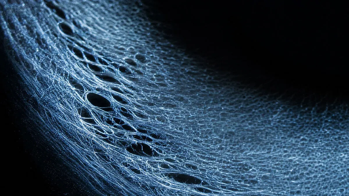Abstract microscopic scene of iris stroma; grazing light showing dispersion in collagen fibers; central composition