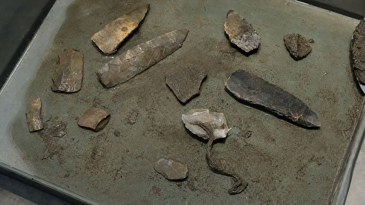 Excavation table: Levallois flake with a fragment of vegetal cord attached to a tray with fine sediment; dark d background
