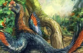 Extraordinary find: they discover a dinosaur from 66 million years ago that ate fruit and had a jaw similar to that of a parrot